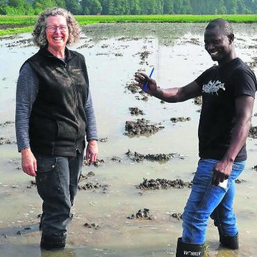 Reis verbindet - Zwei, die sich verstehen. Helen Suter und Justin Bigirimana tauschen auf dem Reisfeld in Mühlau Erfahrungen aus. Bild: Susanne Schild