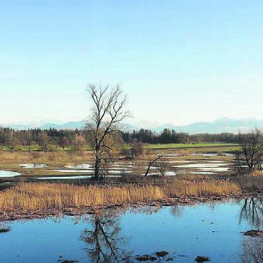 Reusstal interaktiv kennenlernen - Die Altwasserlandschaft der Stillen Reuss ist eine der Eigenheiten des Natur- und Kulturlandschaftserbes Reusstal. Bild: zg