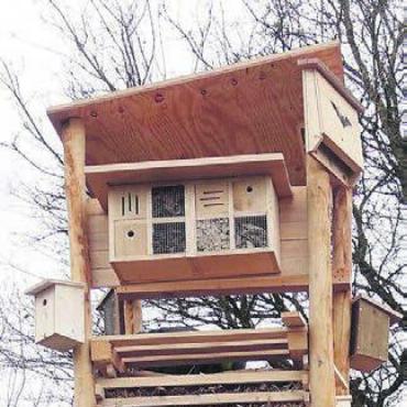 Engagement für die Vielfalt - Der Lebenturm soll zukünftig möglichst viele Arten, aber auch Besucher anlocken. Bild: sus