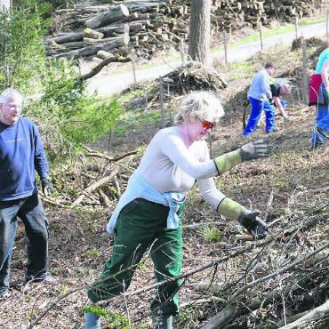«Fast zu heiss zum Arbeiten» - In der ganzen Region Maiholz, Unter- und Oberhau war voller Einsatz zahlreicher Waldarbeiterinnen und Waldarbeiter zu beobachten. Bilder: Richard Gähwiler