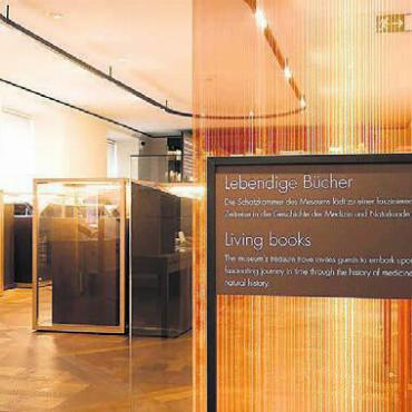 Öffentliche Museumsführung