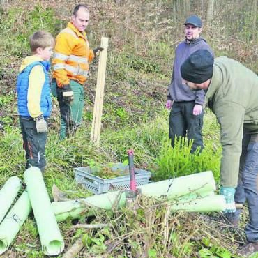 Wem gehört der Wald? - Der Trupp mit Förster Tobias Wiss (Zweiter von links) im Waldgebiet «Gauseri» beim Pflanzen junger Eichen und Fichten. Bilder: Richard Gähwiler