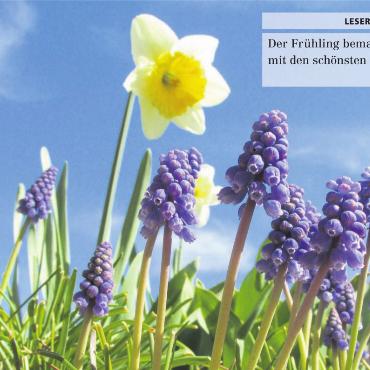 LESERFOTO
