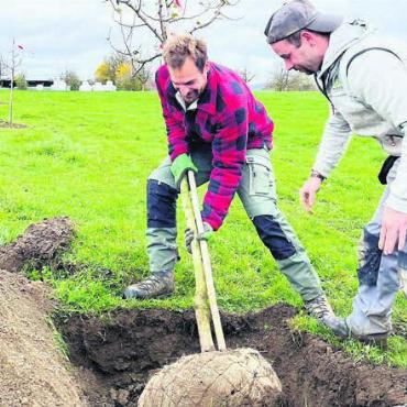 Zur Förderung der Vielfalt - Elf verschiedene Pro-Specie-Rara-Obstsorten wurden gepflanzt. Bild: zg