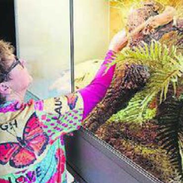 Ein Funke Hoffnung bleibt - Yvonne Richner hat ein Herz für Exoten. Bild: sus