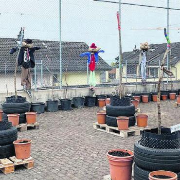 Damit es blüht auf dem Pausenplatz - Das Endprodukt lässt sich sehen. Die Kinder der ersten bis sechsten Klasse halfen beim Gartentag mit. Bild: zg