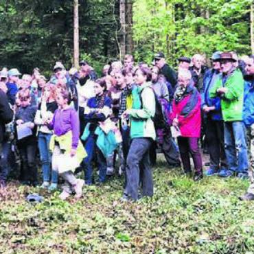 Spannende Entdeckungsreise - Wissenswertes rund um den Büttiker Wald wurde den Interessierten vermittelt. Bild: gk