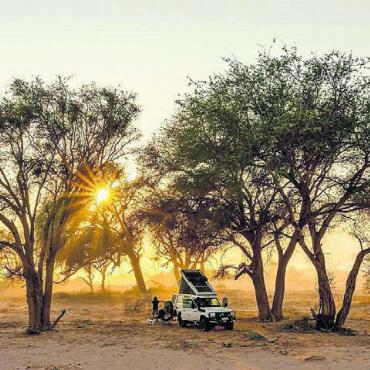 Tierisch nah an Afrika - Sonnenaufgang im Busch des südlichen Afrika. Bild: zg