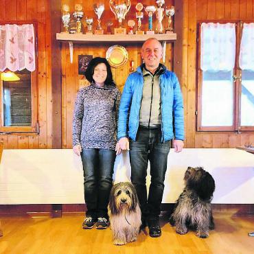 «Grosser Verlust für Bremgarten» - Das gemütliche Vereinslokal mit seinen ausgestellten Trophäen zeugt auch von vergangenen Erfolgen des Bremgarter Hundesports.