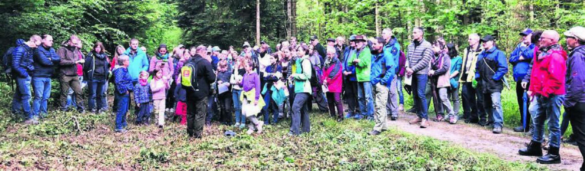Wissenswertes rund um den Büttiker Wald wurde den Interessierten vermittelt. Bild: gk - Das Bild wird blockiert. – Möglicherweise durch einen aktiven Adblocker.