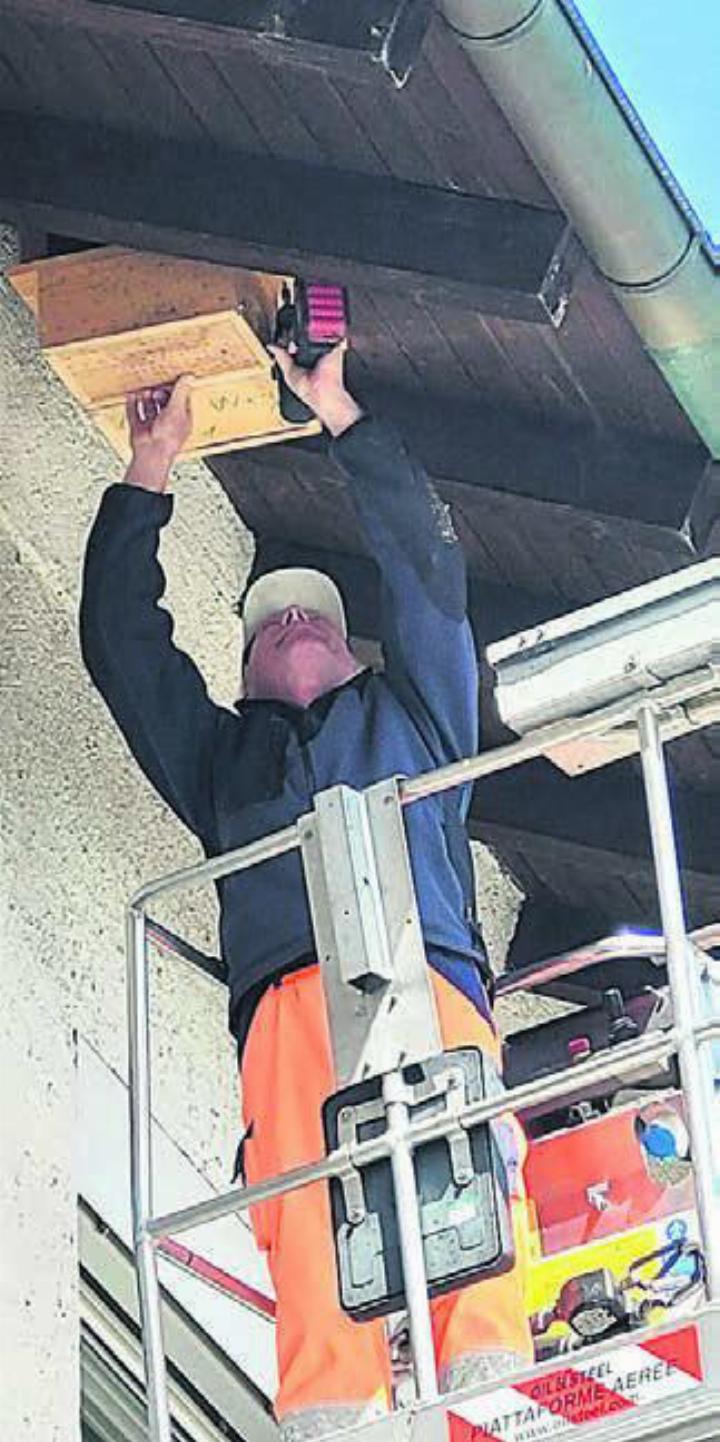 Gemeindewerkarbeiter Peter Koch montierte die Nistkästen unter dem Schulhausdach. Bild: zg