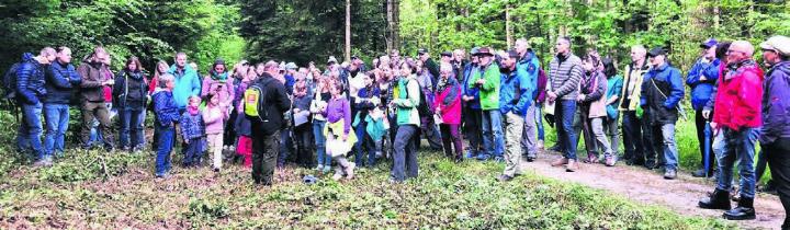 Wissenswertes rund um den Büttiker Wald wurde den Interessierten vermittelt. Bild: gk